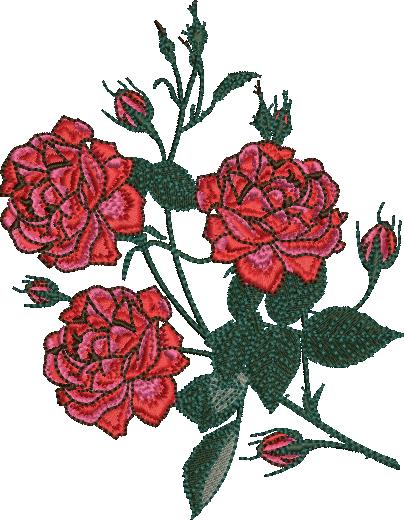 High Quality Rose Flowere (40)