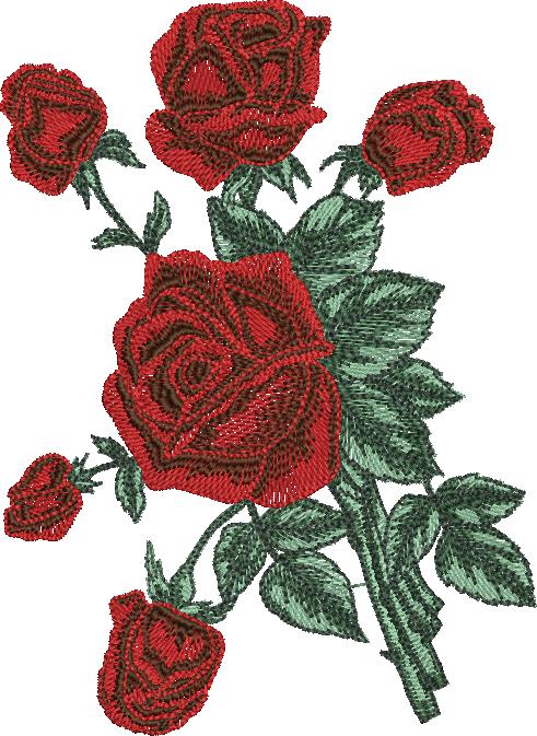 High Quality Rose Flowere (25)