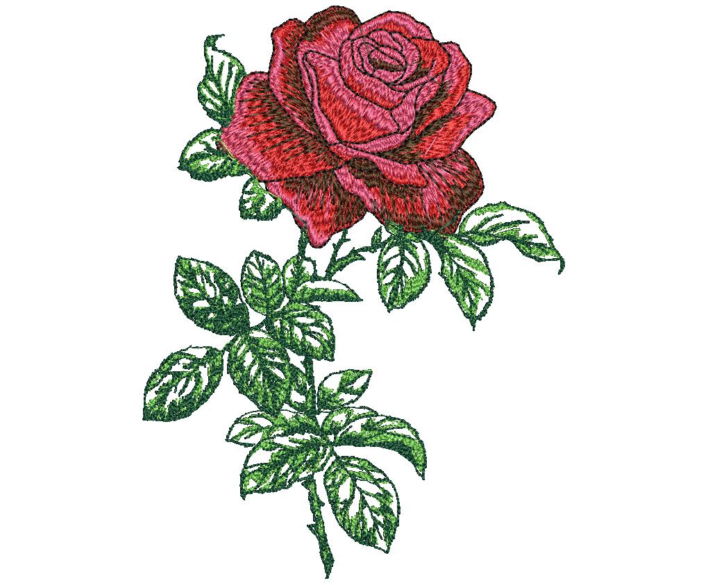 High Quality Rose Flowere (29)
