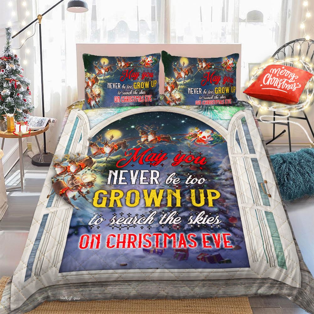 May You Never Be Too Grown Up To Search The Skies On Christmas Eve Quilt Bet Set