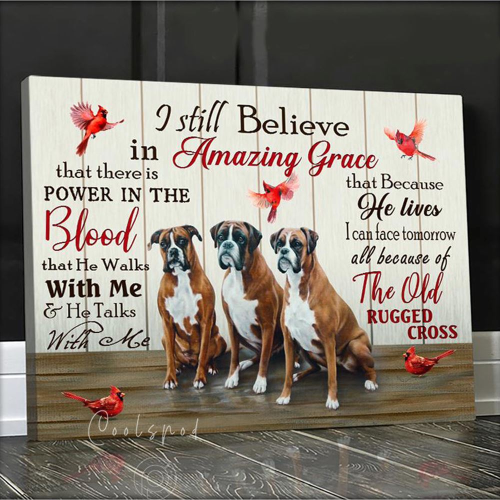 Canvas - Boxer - I Still Believe In Amazing Grace