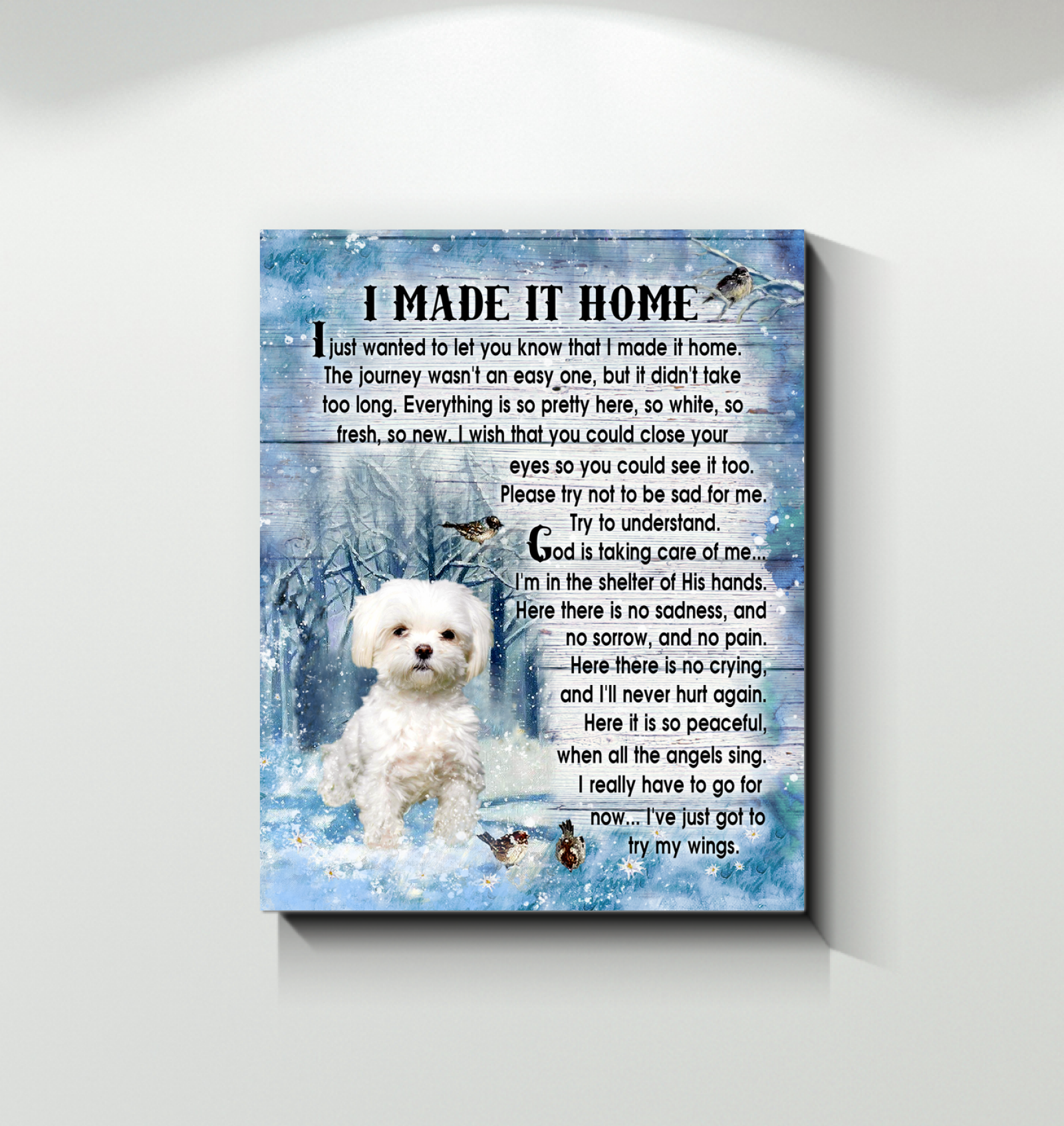 Canvas - Maltese - I Made It Home