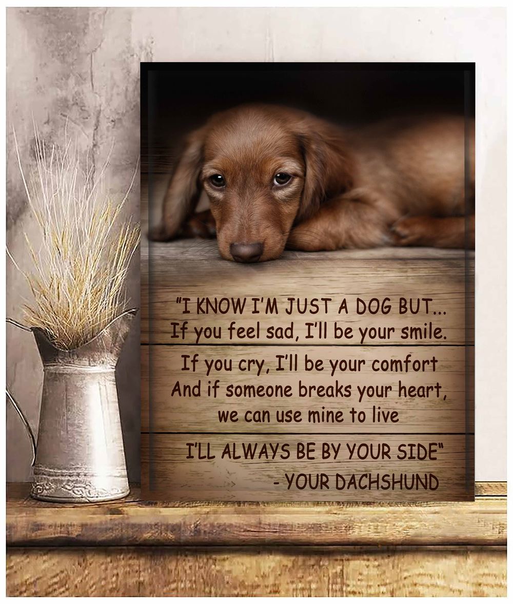 Dachshund I Know Im Just A Dog Canvas