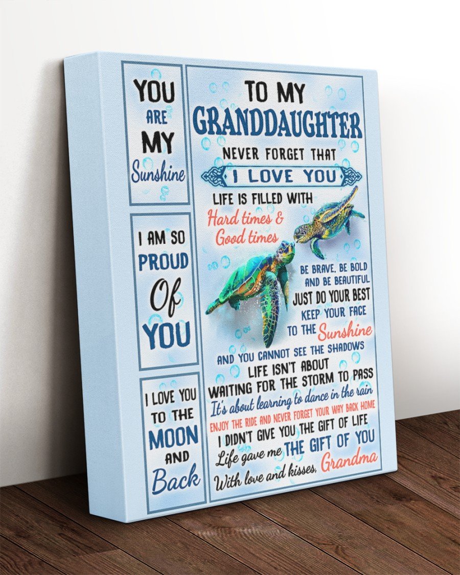 To My Granddaughter Never Forget That I Love You Turtle Canvas