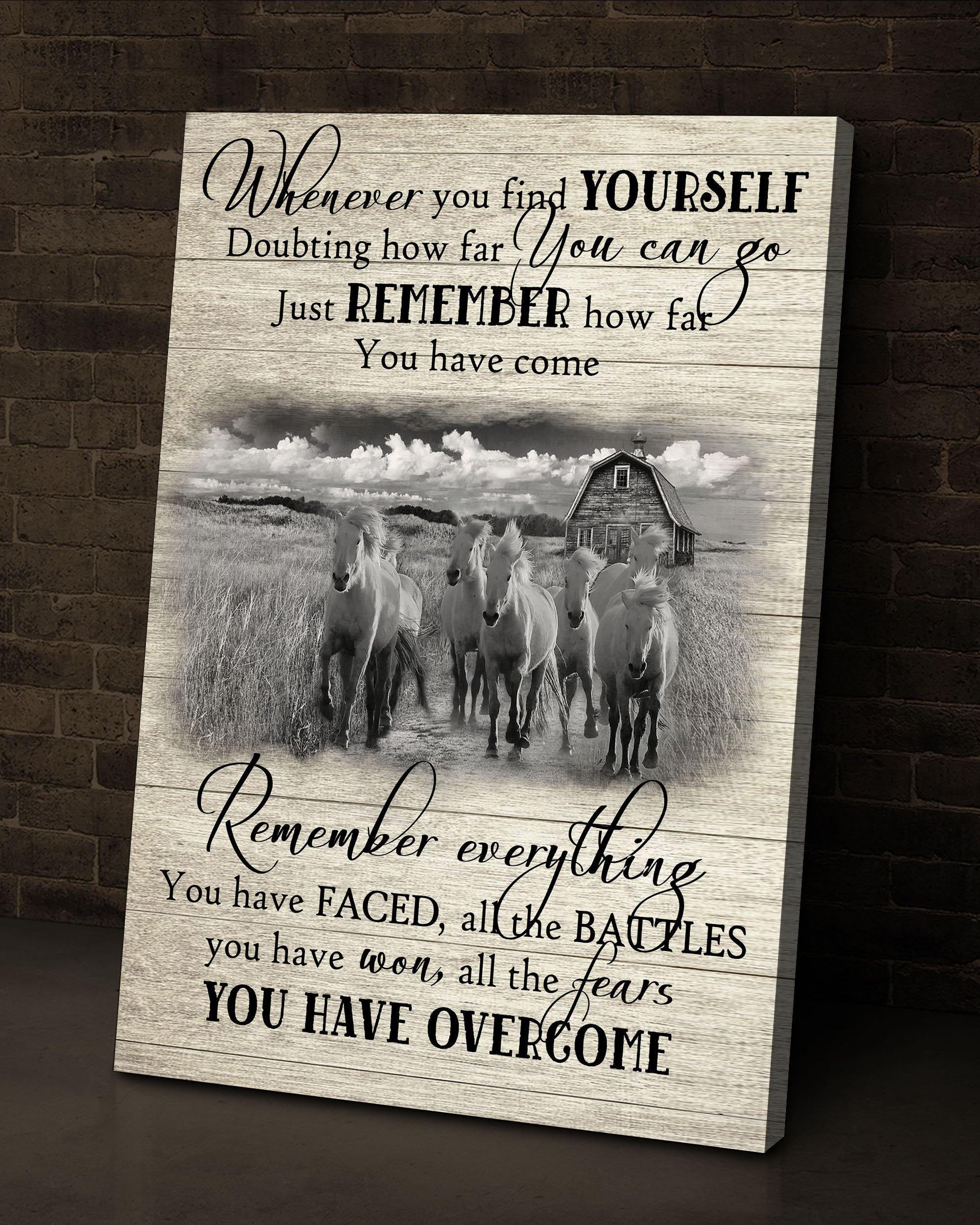 Top 3 Horse Wall Art Canvas - You Have Overcome Black And White