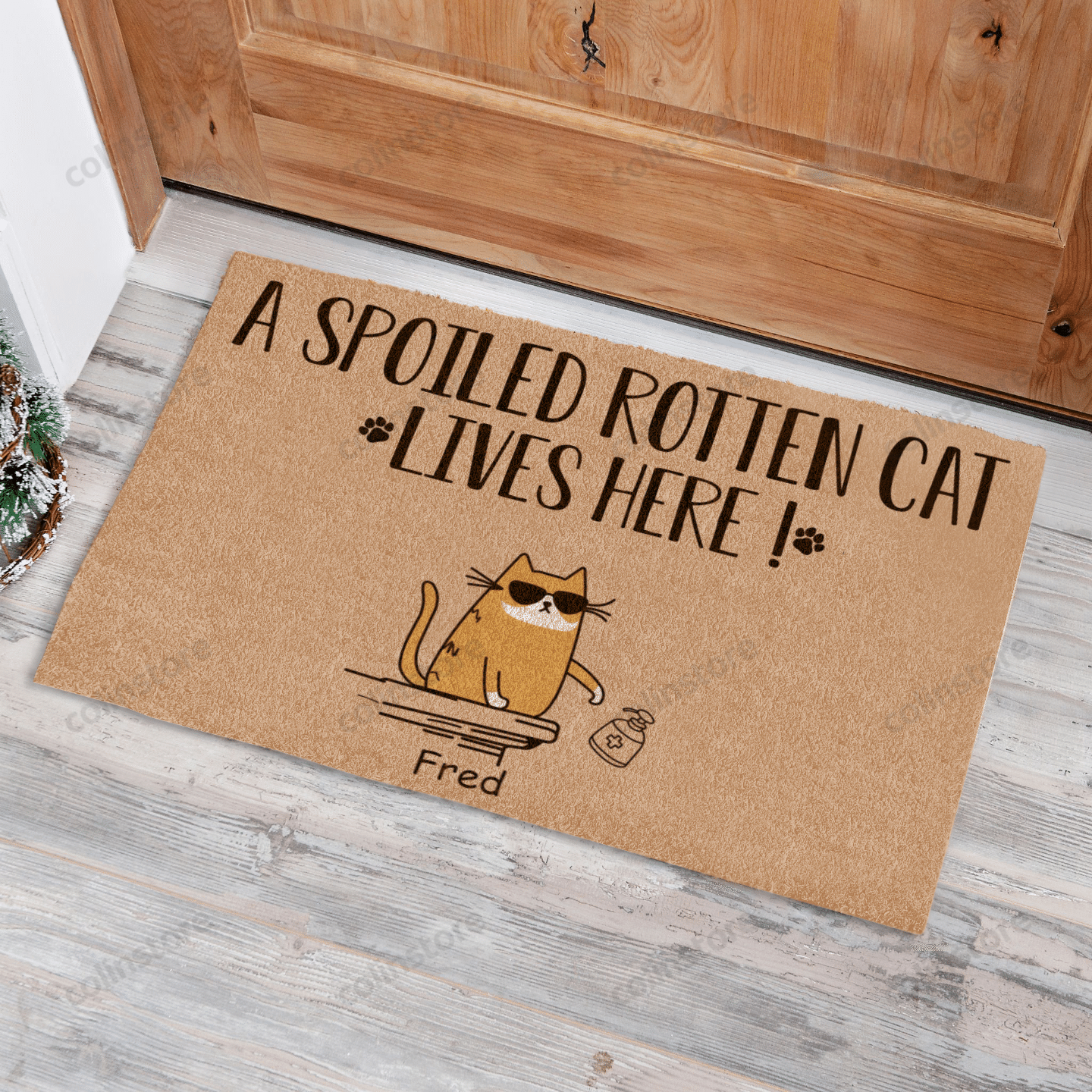 Cool Cat 5 Spoiled Rotten Cats Live Here Funny Outdoor Indoor Wellcome Doormat