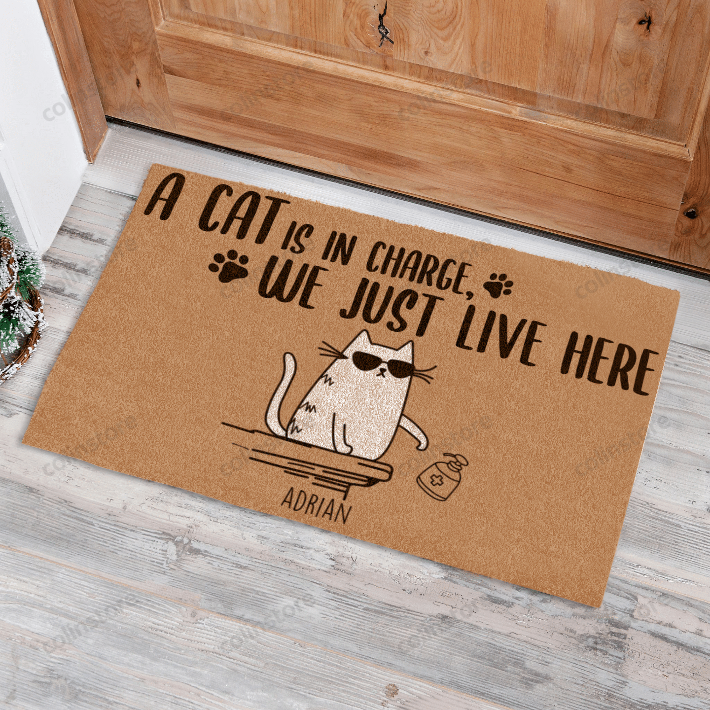 Cool Cat The Cats Are In Charge We Just Live Here Funny Outdoor Indoor Wellcome Doormat