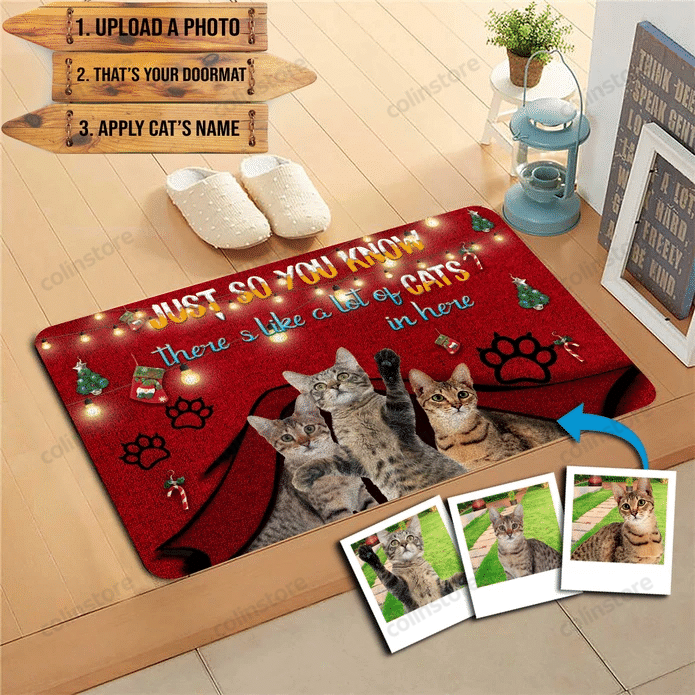 Custom Wellcome Doormat Dog Funny Outdoor Indoor Wellcome Doormat Funny Outdoor Indoor Wellcome Doormat