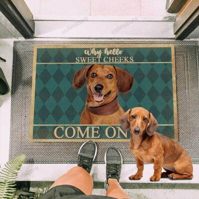 Dachshund Dog Come On In Funny Outdoor Indoor Wellcome Doormat