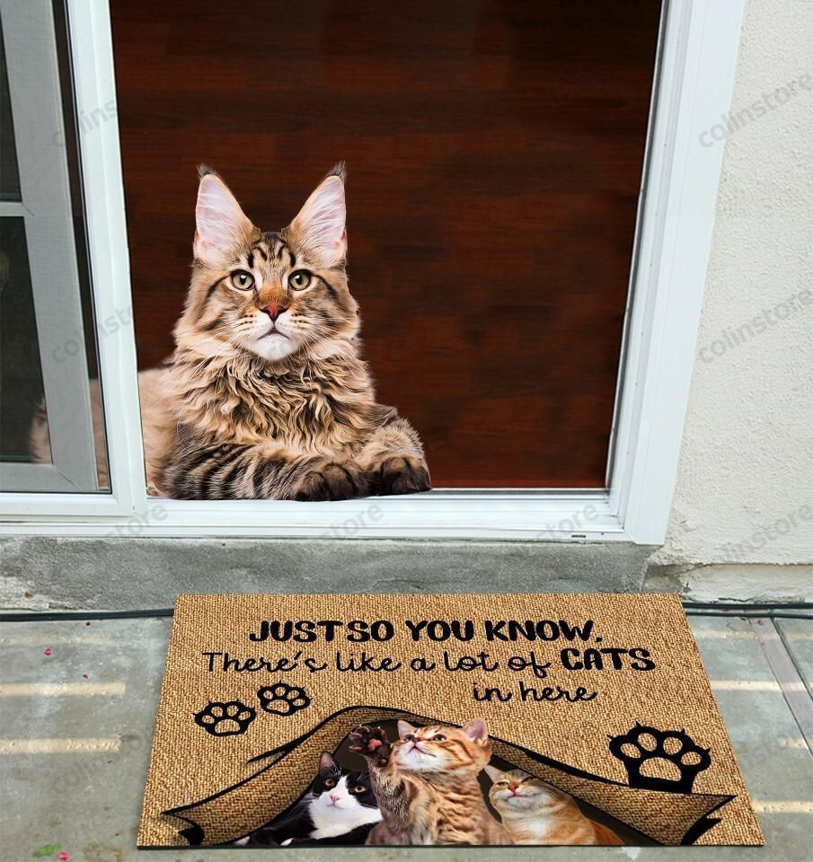 Just So You Know Theres Like A Lot Of Cats In Here Doormat Welcome Mat