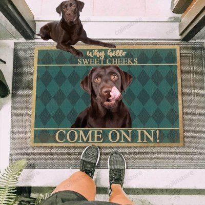 Labrador Black Dog Come On In Funny Outdoor Indoor Wellcome Doormat