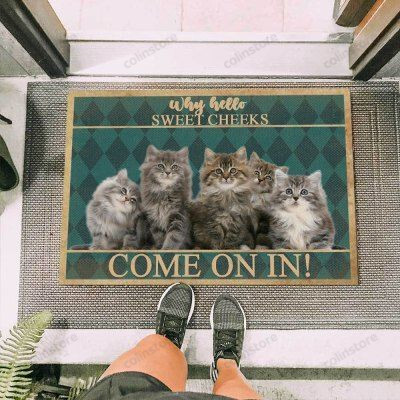 Maine Coon Cat Funny Outdoor Indoor Wellcome Doormat