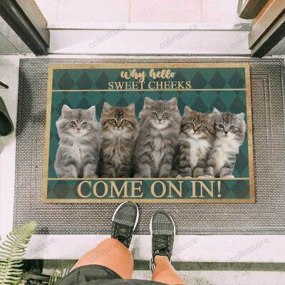 Maine Coon Kitten Funny Outdoor Indoor Wellcome Doormat