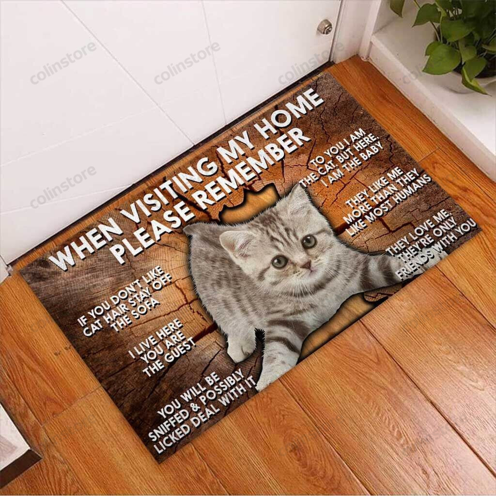 Please Remember When Visiting My Home - Cat Doormat Welcome Mat