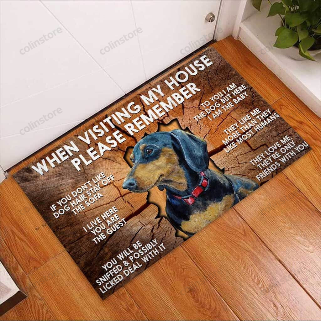 Please Remember When Visiting My Home Dog Doormat Welcome Mat