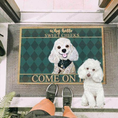 Poodle Dog Come On In Funny Outdoor Indoor Wellcome Doormat