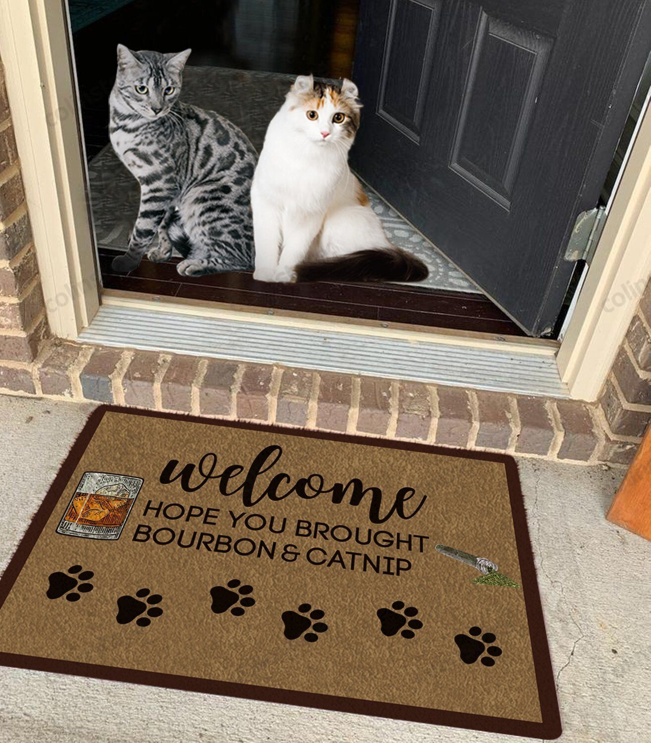 Welcome Hope You Brought Bourbon And Catnip Funny Outdoor Indoor Wellcome Doormat