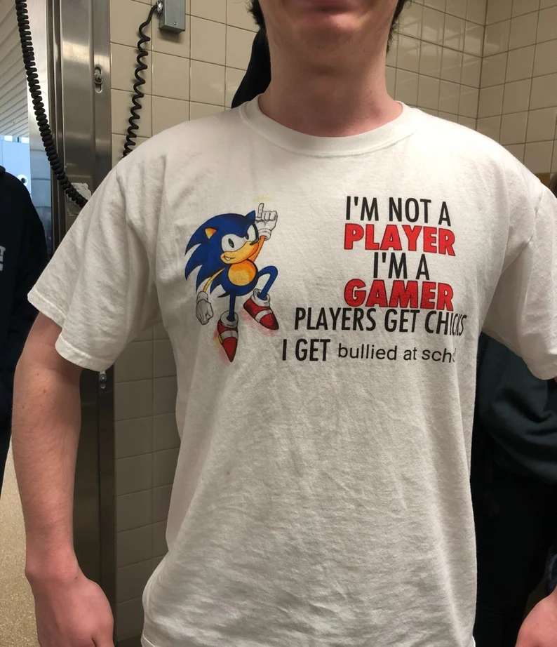 Sonic Im Not A Player Im A Gamer Players Get Chicks I Get Bullied At School T-shirt