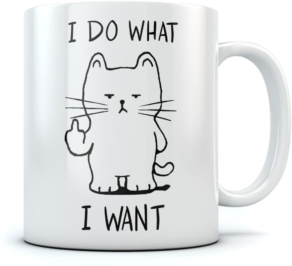 I Do What I Want Cat Funny Coffee Mug Birthday Gift For Him Her Men Or Women Xmas Present Idea For C