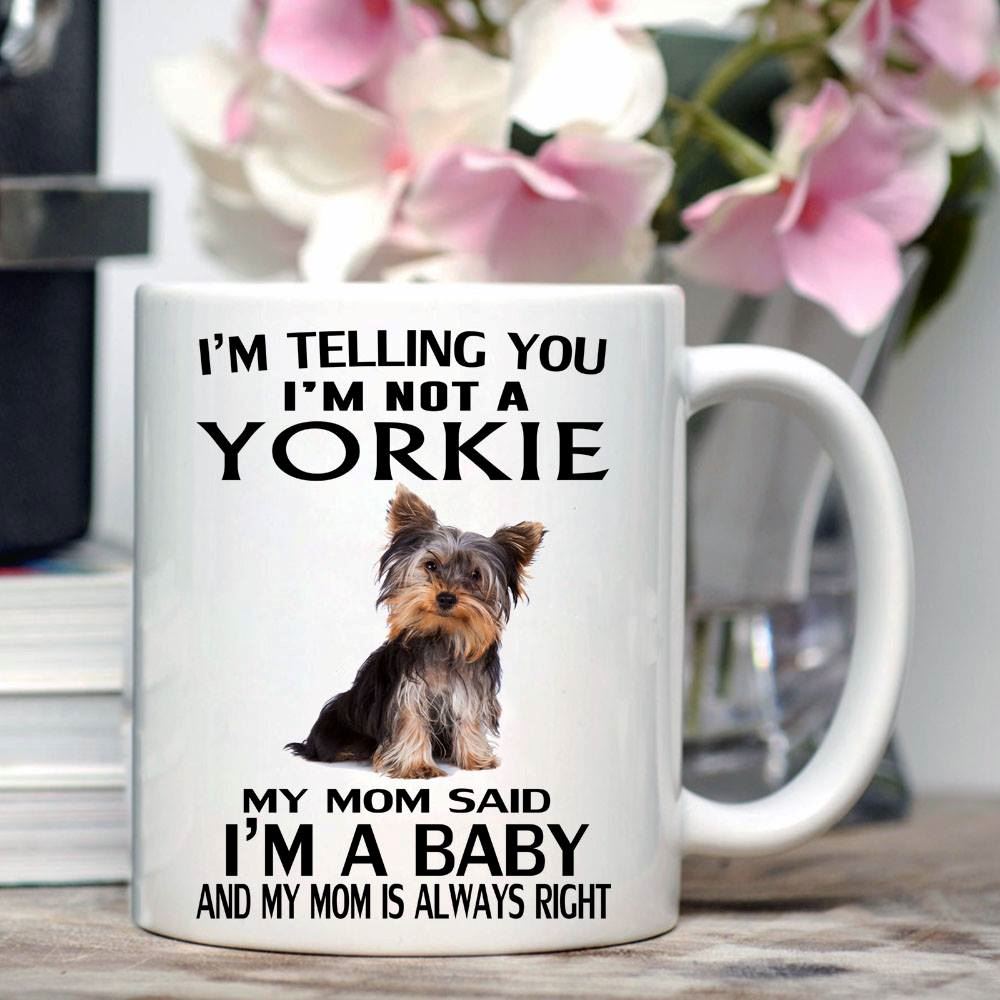 Im Telling You Im Not A Yorkie My Mom Said A Baby Love Pets