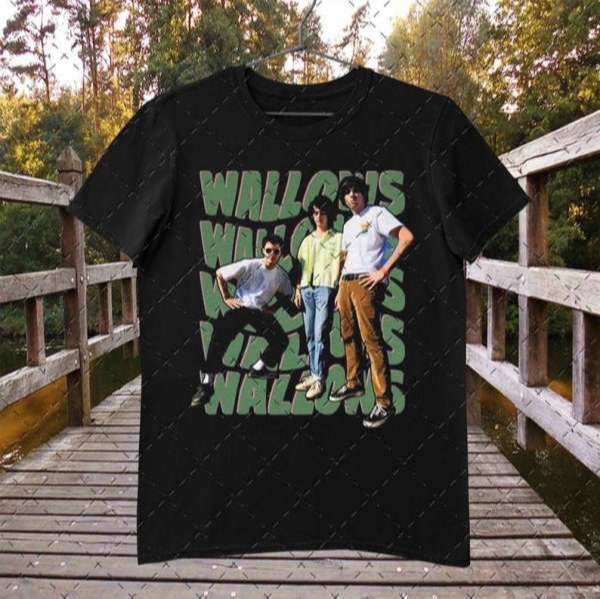 Wallows Band T-shirt Music