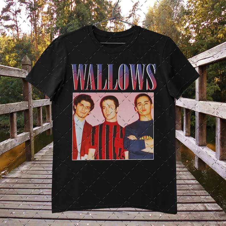 Wallows Boy Band Unisex T Shirt