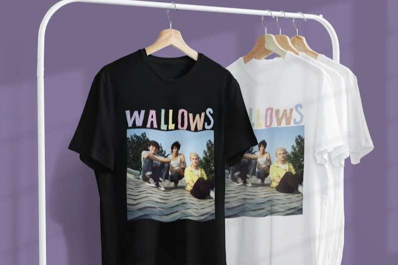 Wallows Dylan Minnette Braeden Lemasters T-shirt