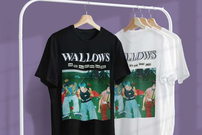 Wallows T-shirt Dylan Minnette Braeden Lemasters