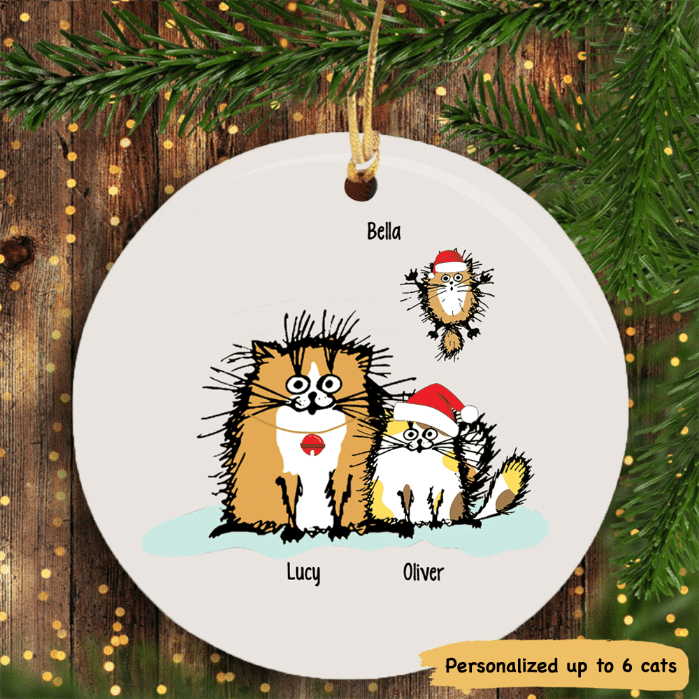 Funny Cat Christmas Personalized Cat Decorative Christmas Ornament