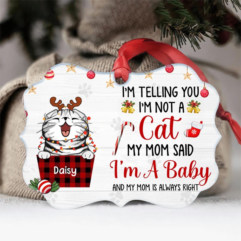 Im Not A Cat Im A Baby Personalized Aluminum Ornament