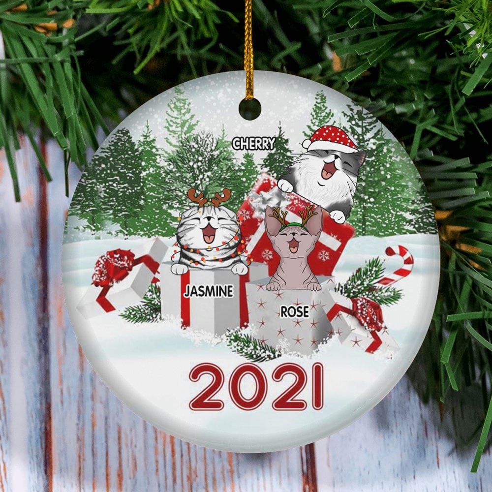 Merry Christmas 2021 Personalized Cat Lovers Decorative Christmas Ornament