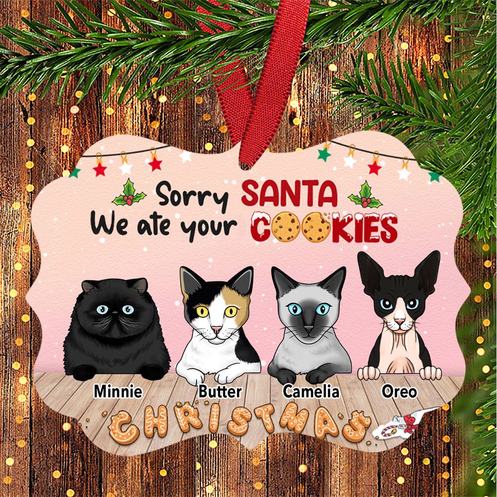 Personalized Sorry Santa Christmas Cat Benelux Ornament