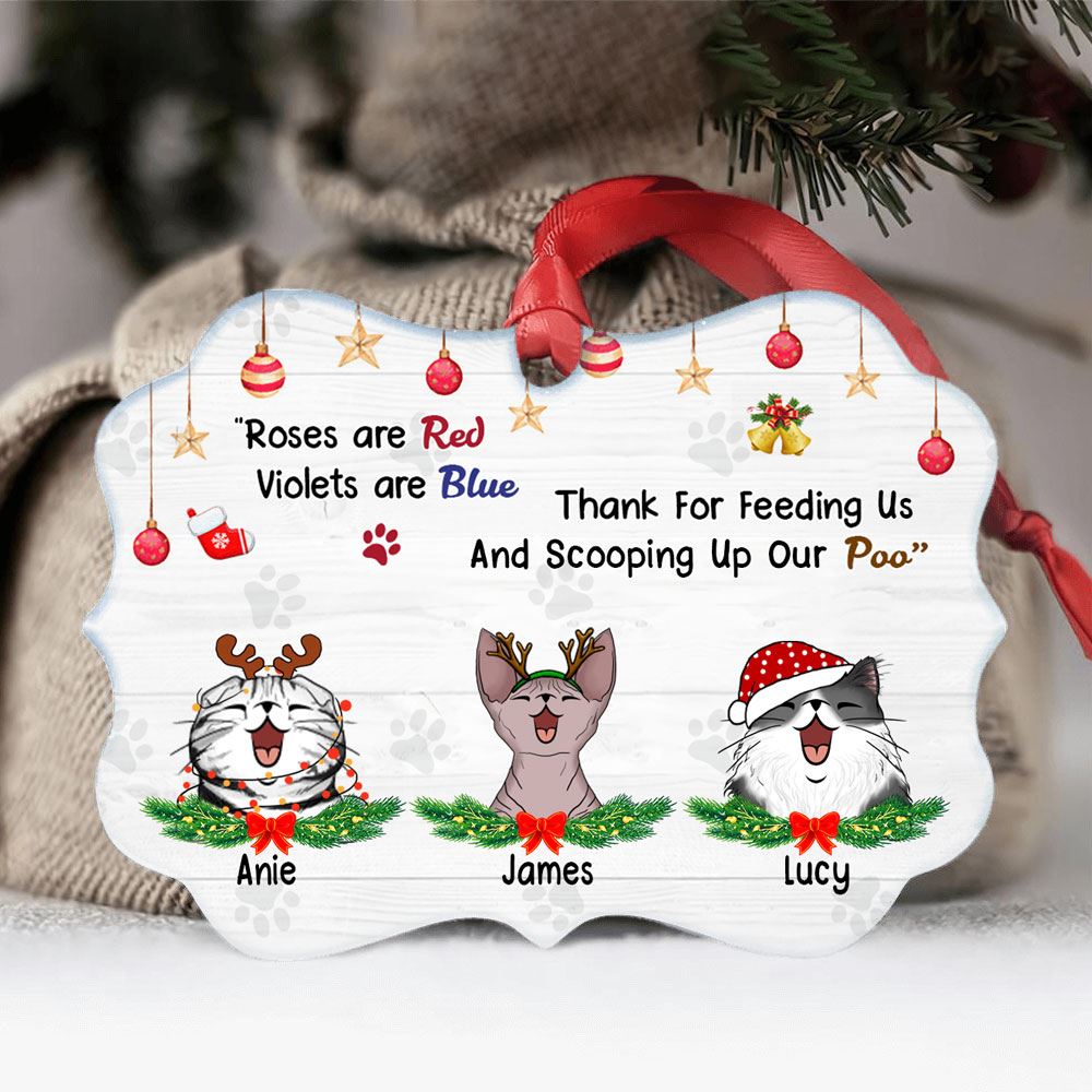 Thank For Feeding Us And Scooping Up Our Poo Personalized Cat Breed Aluminum Ornament Gift For Cat Lovers