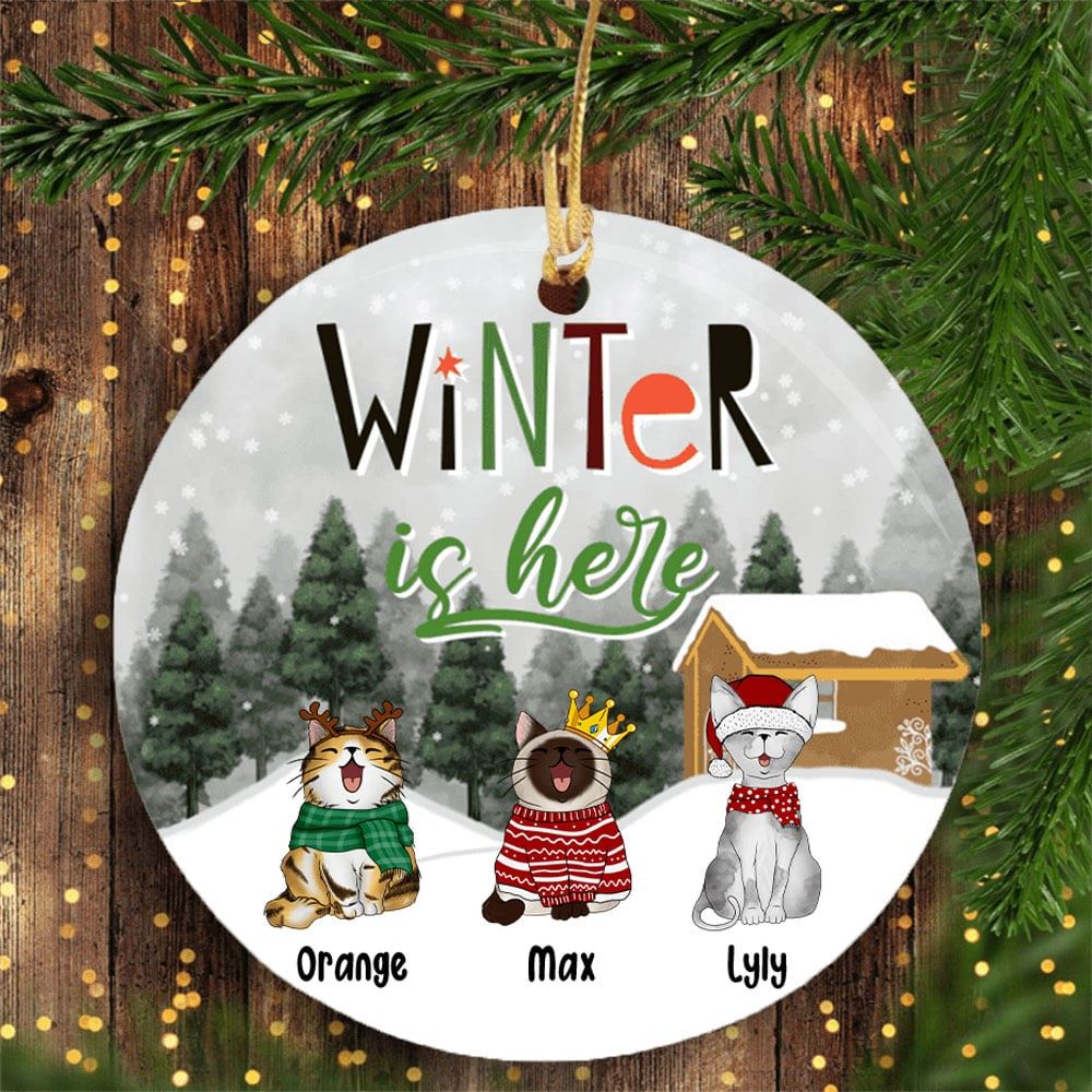 Winter Is Here Circle Ceramic Ornament Personalized Cat Lovers Decorative Christmas Gift