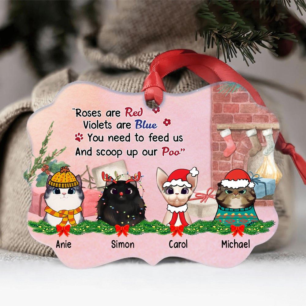 You Need To Feed Us And Scoop Up Our Poo Personalized Ornament Gift For Cat Lover