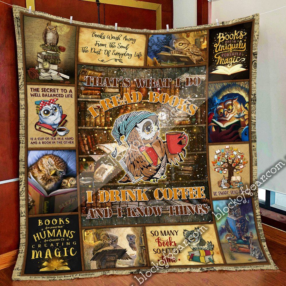 Books And Owls Quilt Blanket