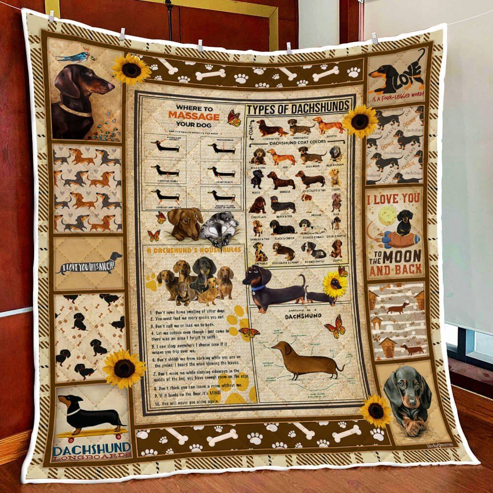 Dachshund Knowledge Quilt Blanket