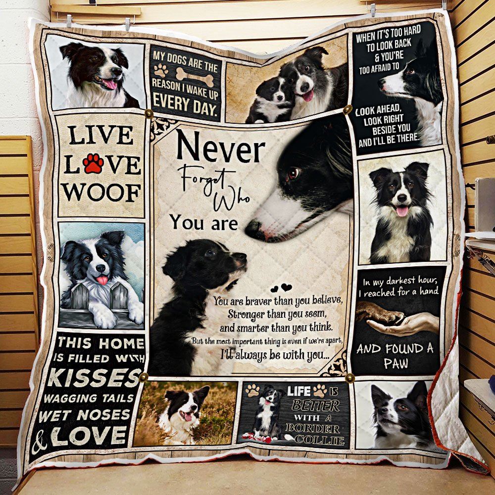 Never Forget Who You Are Border Collie Quilt Blanket--7i3r8