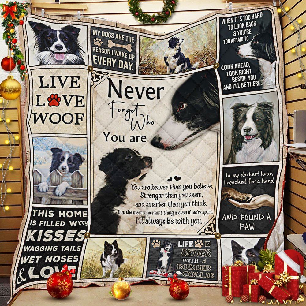 Never Forget Who You Are Border Collie Quilt Blanket