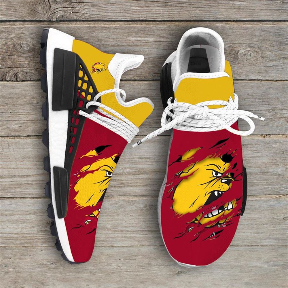 Fau Owls Ncaa Sport Teams Nmd Human Race Sneakers Shoes