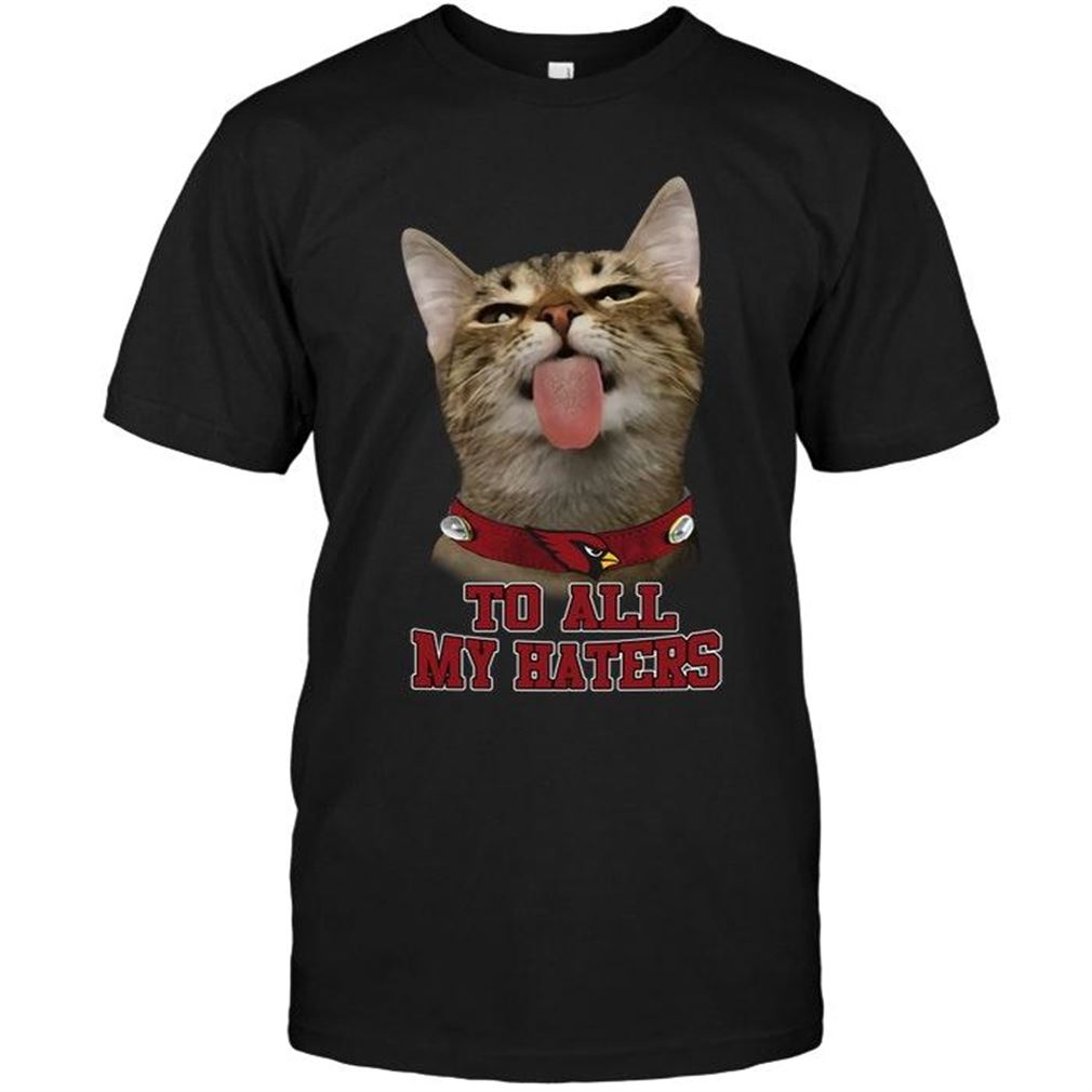 Nfl Arizona Cardinals Cat To All My Haters Shirt Shirt Up To 5xl