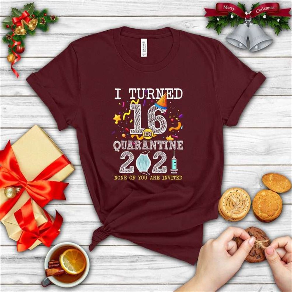 I Turned 16 In Quarantine Cute 16th Birthday 2021 Gifts Unisex T-shirt