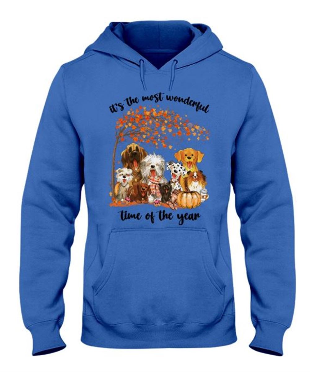 Its The Most Wonderful Time Of The Year Hooded Sweatshirt