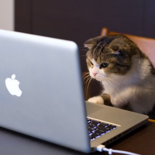 5 questions to ask before learning a new JS framework