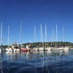 Shilsole Bay Yacht Club Raft