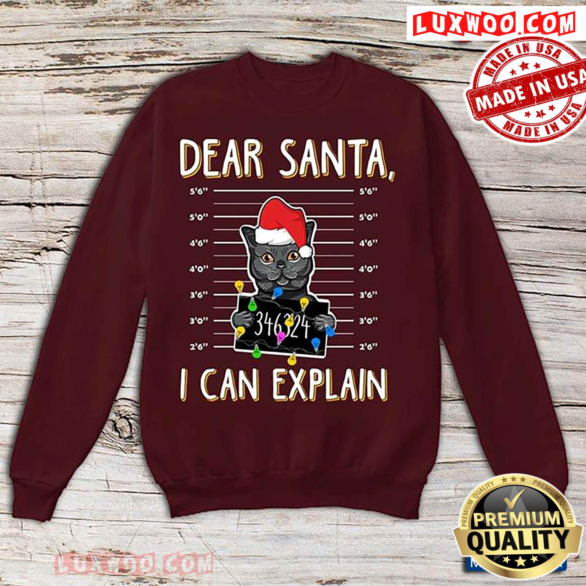 Dear Santa I Can Explain Black Cat Christmas
