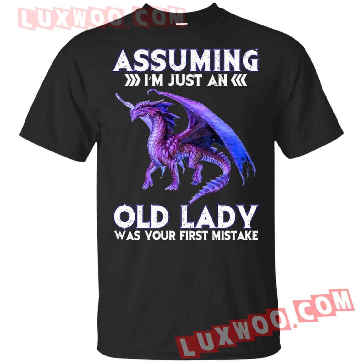 Dragon Assuming Im Just An Old Lady Was Your First Mistake T-shirt ...