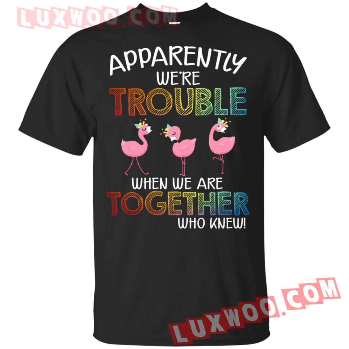 Flamingo Apparently Were Trouble When We Are Together Who Knew Shirt