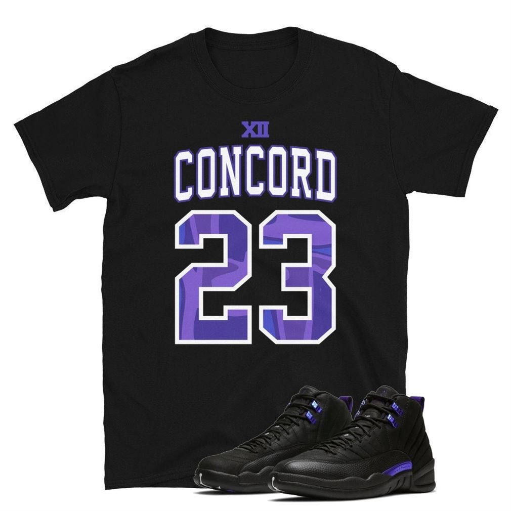 Jordan 12 Retro Dark Concord Unisex