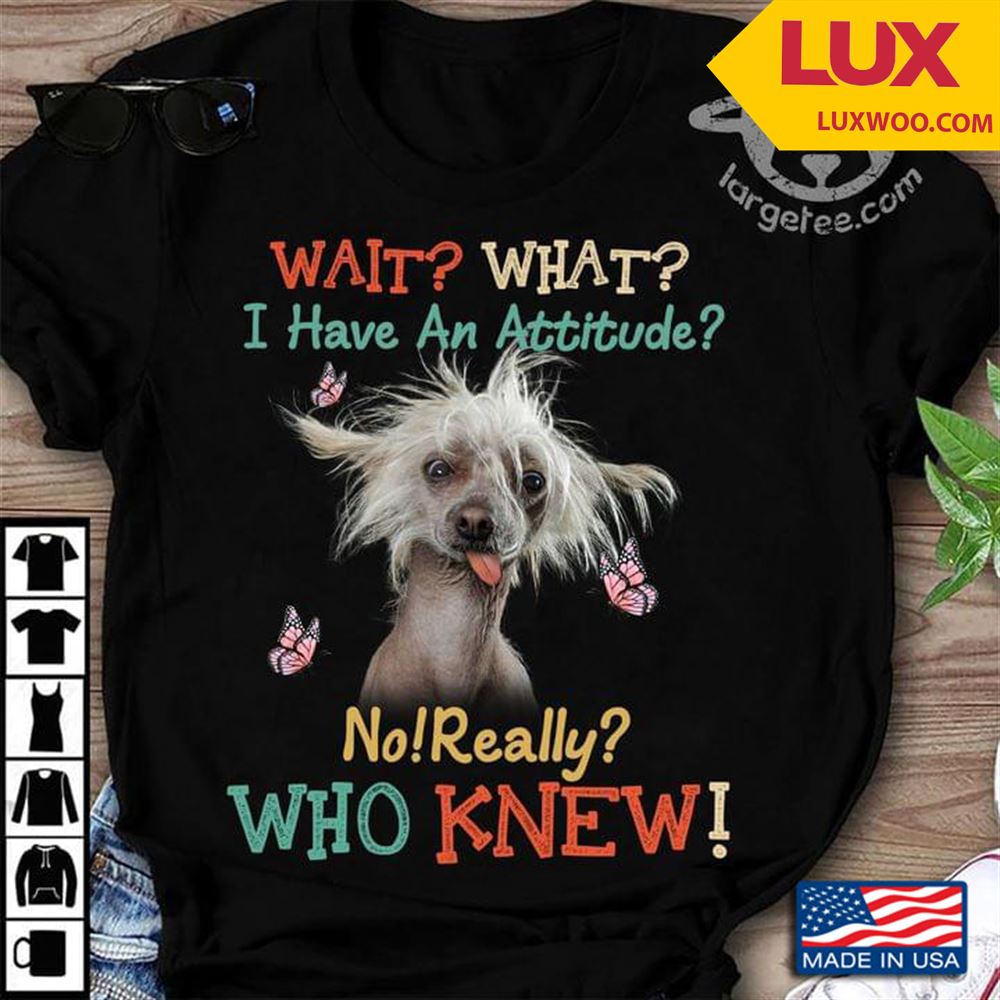 Dog And Butterflies Wait What I Have An Attitude No Really Who Knew Tshirt Size Up To 5xl